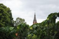 Delia giandeini 6y8 Tlq Nj9 Uc unsplash