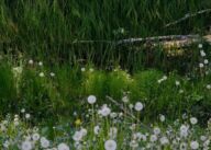 Pexels plato terentev 3804555 9962774