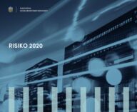 Risiko 2020