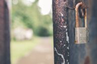 Pexels artem beliaikin 912005